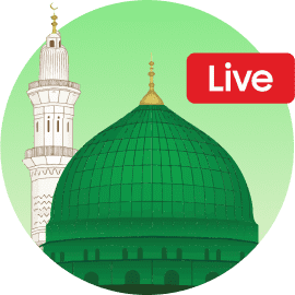 Madina Live icon